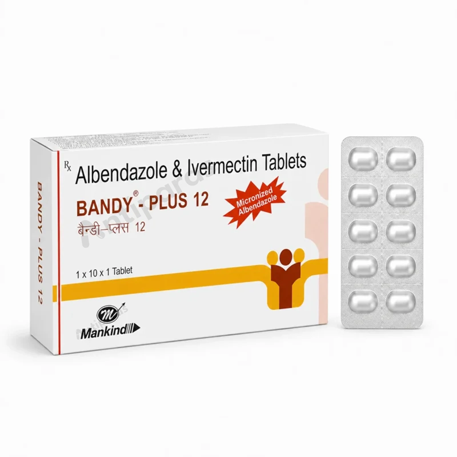Bandy Plus 12